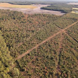 Photo #13 of SOLD property in Off Lightwood Bridge Road, Wallace, NC 90.0 acres