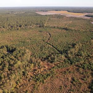 Photo #18 of SOLD property in Off Lightwood Bridge Road, Wallace, NC 90.0 acres