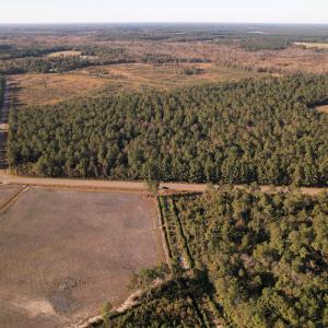 Photo #19 of SOLD property in Off Lightwood Bridge Road, Wallace, NC 90.0 acres