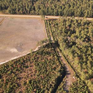 Photo #20 of SOLD property in Off Lightwood Bridge Road, Wallace, NC 90.0 acres
