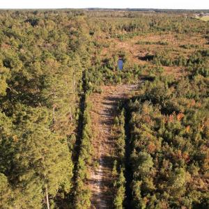 Photo #22 of SOLD property in Off Lightwood Bridge Road, Wallace, NC 90.0 acres