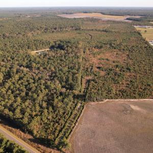 Photo #24 of SOLD property in Off Lightwood Bridge Road, Wallace, NC 90.0 acres