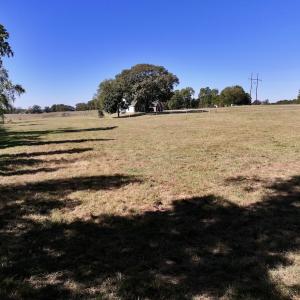 Photo #57 of 975 Pashcall Rd, Warrenton, NC 43.1 acres