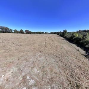 Photo #61 of 975 Pashcall Rd, Warrenton, NC 43.1 acres