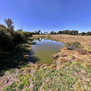 Photo #62 of 975 Pashcall Rd, Warrenton, NC 43.1 acres