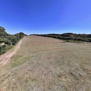 Photo #63 of 975 Pashcall Rd, Warrenton, NC 43.1 acres