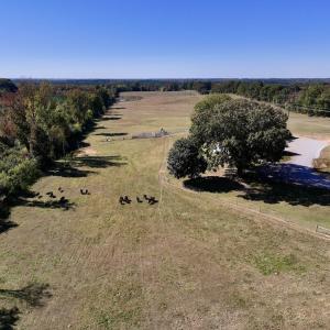 Photo #65 of 975 Pashcall Rd, Warrenton, NC 43.1 acres