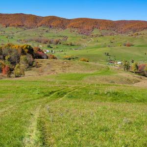 Photo #3 of SOLD property in Off Wimer Mountain Road, Blue Grass , VA 159.0 acres