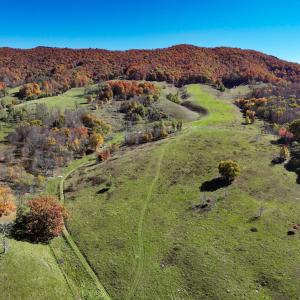 Photo #4 of SOLD property in Off Wimer Mountain Road, Blue Grass , VA 159.0 acres