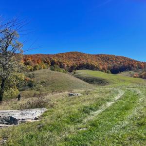 Photo #7 of SOLD property in Off Wimer Mountain Road, Blue Grass , VA 159.0 acres