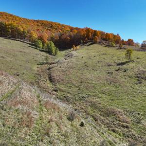 Photo #11 of SOLD property in Off Wimer Mountain Road, Blue Grass , VA 159.0 acres