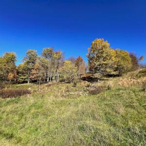 Photo #15 of SOLD property in Off Wimer Mountain Road, Blue Grass , VA 159.0 acres