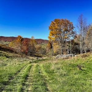 Photo #16 of SOLD property in Off Wimer Mountain Road, Blue Grass , VA 159.0 acres