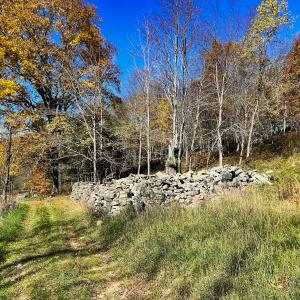 Photo #17 of SOLD property in Off Wimer Mountain Road, Blue Grass , VA 159.0 acres