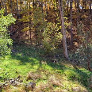 Photo #18 of SOLD property in Off Wimer Mountain Road, Blue Grass , VA 159.0 acres