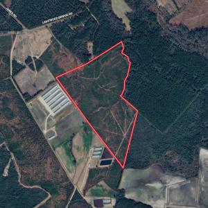 Photo #1 of SOLD property in Off Lightwood Bridge Road, Wallace, NC 90.0 acres