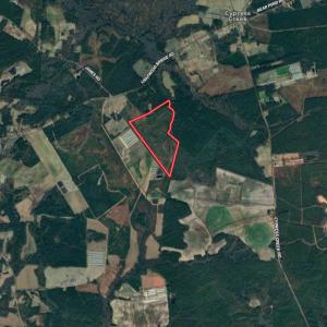 Photo #26 of SOLD property in Off Lightwood Bridge Road, Wallace, NC 90.0 acres