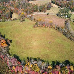 Photo #11 of SOLD property in Off Hardin Reynolds Rd, Critz, VA 39.8 acres