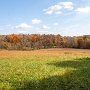 Photo #13 of SOLD property in Off Hardin Reynolds Rd, Critz, VA 39.8 acres