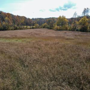 Photo #16 of SOLD property in Off Hardin Reynolds Rd, Critz, VA 39.8 acres