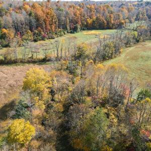 Photo #17 of SOLD property in Off Hardin Reynolds Rd, Critz, VA 39.8 acres