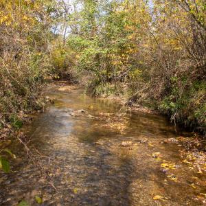 Photo #18 of SOLD property in Off Hardin Reynolds Rd, Critz, VA 39.8 acres