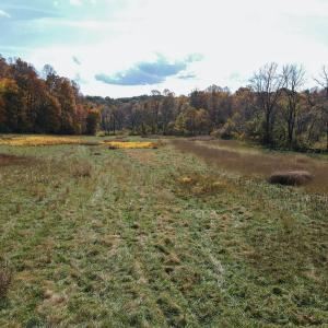 Photo #20 of SOLD property in Off Hardin Reynolds Rd, Critz, VA 39.8 acres