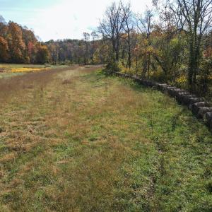 Photo #21 of SOLD property in Off Hardin Reynolds Rd, Critz, VA 39.8 acres