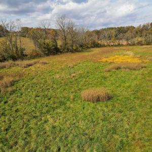 Photo #22 of SOLD property in Off Hardin Reynolds Rd, Critz, VA 39.8 acres