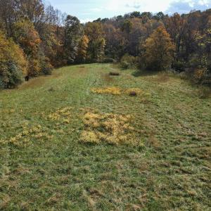 Photo #23 of SOLD property in Off Hardin Reynolds Rd, Critz, VA 39.8 acres