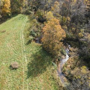 Photo #25 of SOLD property in Off Hardin Reynolds Rd, Critz, VA 39.8 acres
