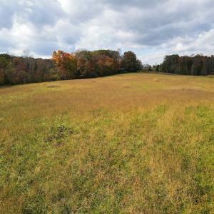 Photo #28 of SOLD property in Off Hardin Reynolds Rd, Critz, VA 39.8 acres