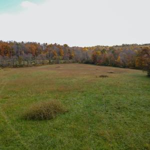 Photo #29 of SOLD property in Off Hardin Reynolds Rd, Critz, VA 39.8 acres