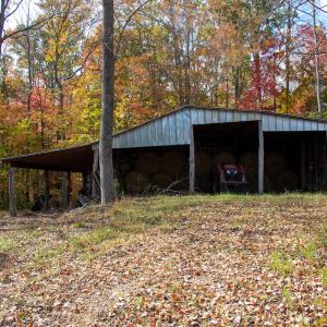 Photo #9 of SOLD property in Off Hardin Reynolds Rd, Critz, VA 39.8 acres