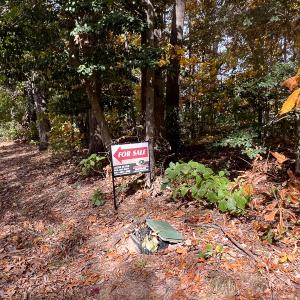 Photo #2 of Off Sarah Street , Bowling Green, VA 4.9 acres