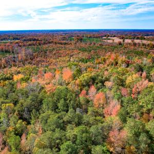 Photo #6 of Off Sarah Street , Bowling Green, VA 4.9 acres