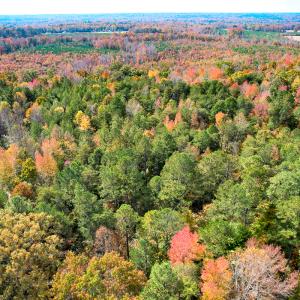 Photo #8 of Off Sarah Street , Bowling Green, VA 4.9 acres