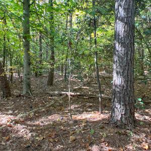 Photo #9 of Off Sarah Street , Bowling Green, VA 4.9 acres