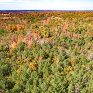 Photo #10 of Off Sarah Street , Bowling Green, VA 4.9 acres