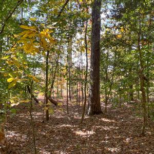 Photo #11 of Off Sarah Street , Bowling Green, VA 4.9 acres