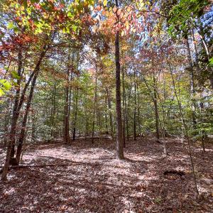 Photo #18 of Off Sarah Street , Bowling Green, VA 4.9 acres