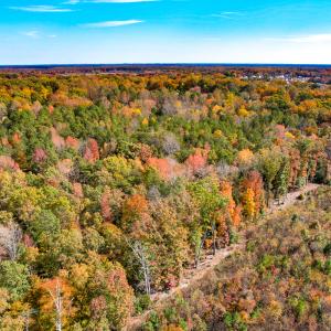 Photo #20 of Off Sarah Street , Bowling Green, VA 4.9 acres