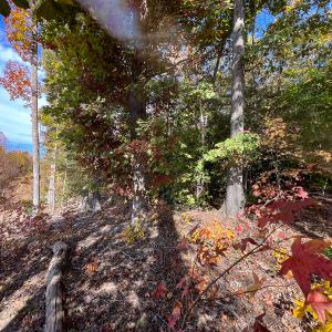 Photo #22 of Off Sarah Street , Bowling Green, VA 4.9 acres