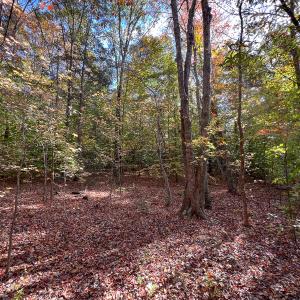 Photo #25 of Off Sarah Street , Bowling Green, VA 4.9 acres