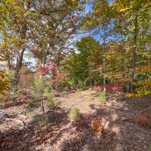 Photo #27 of Off Sarah Street , Bowling Green, VA 4.9 acres