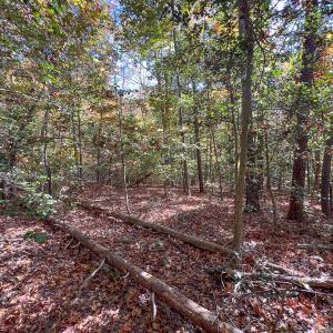 Photo #29 of Off Sarah Street , Bowling Green, VA 4.9 acres