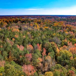 Photo #30 of Off Sarah Street , Bowling Green, VA 4.9 acres