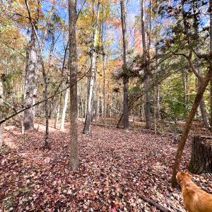 Photo #32 of Off Sarah Street , Bowling Green, VA 4.9 acres