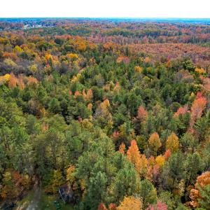 Photo #33 of Off Sarah Street , Bowling Green, VA 4.9 acres