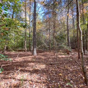 Photo #35 of Off Sarah Street , Bowling Green, VA 4.9 acres